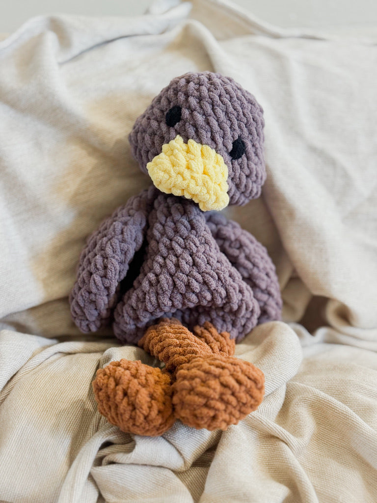 Mr Puddles Duck
