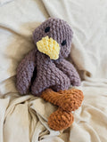 Mr Puddles Duck